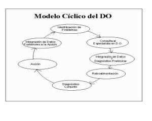 Modelo Ciclico del DO